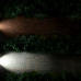 LED Крушка OSRAM, H7, 12V, 19W, PX26d, NIGHT BREAKER LED, 6000K, 2 броя НАЙ-НИСКА ЦЕНА В БЪЛГАРИЯ LED Крушка OSRAM, H7, 12V, 19W, PX26d, NIGHT BREAKER LED, 6000K, 2 броя НАЙ-НИСКА ЦЕНА В БЪЛГАРИЯ